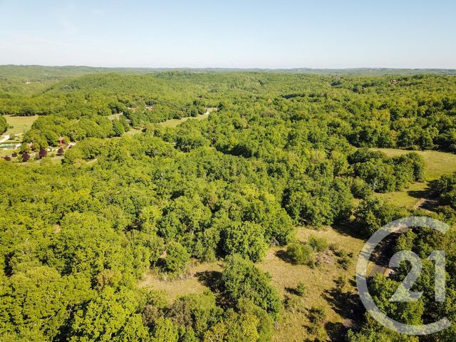 terrain à vendre - 10000.0 m2 - SOUILLAC - 46 - MIDI-PYRENEES - Century 21 Cabinet Théron
