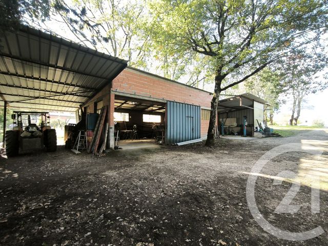 maison à vendre - 5 pièces - 127.0 m2 - PAYRAC - 46 - MIDI-PYRENEES - Century 21 Cabinet Théron