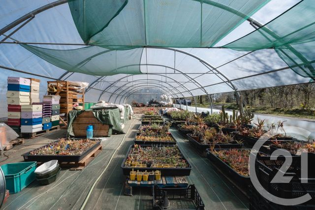 maison à vendre - 5 pièces - 110.0 m2 - LACHAPELLE AUZAC - 46 - MIDI-PYRENEES - Century 21 Cabinet Théron