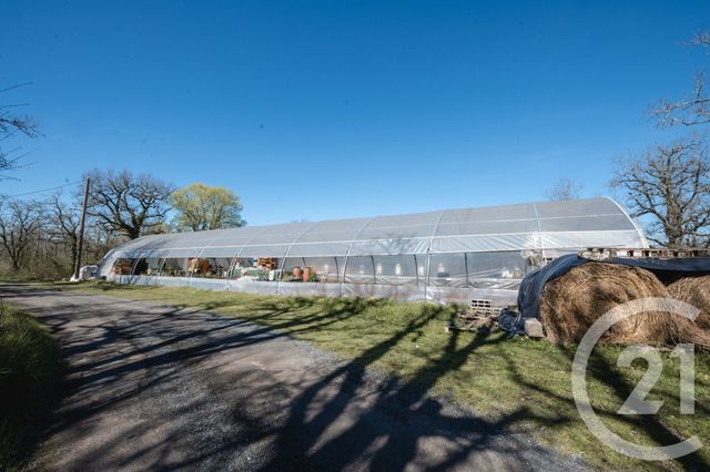 maison à vendre - 5 pièces - 110.0 m2 - LACHAPELLE AUZAC - 46 - MIDI-PYRENEES - Century 21 Cabinet Théron
